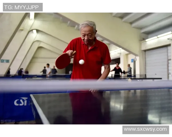 赵磊独家揭秘乒乓球技巧与心得分享助你提升球技的秘密武器