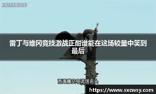 ac米兰体育