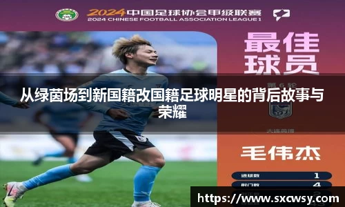 从绿茵场到新国籍改国籍足球明星的背后故事与荣耀