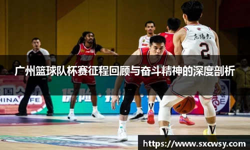 广州篮球队杯赛征程回顾与奋斗精神的深度剖析