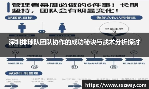 深圳排球队团队协作的成功秘诀与战术分析探讨