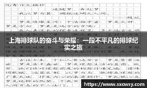 上海排球队的奋斗与荣耀：一段不平凡的排球纪实之旅